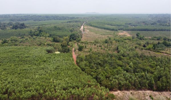 Con una superficie de casi 970.000 ha, la Reserva de la Biosfera Dong Nai fue reconocida por la UNESCO en 2001.