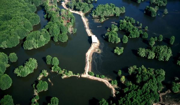 El manglar de Cân Gio (también bosque de Sac) tiene hermosos paisajes