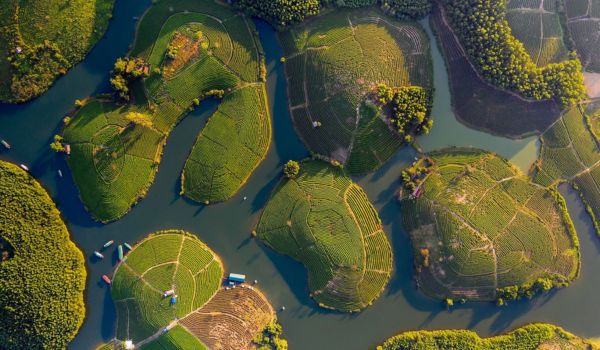 La Reserva de la Biosfera de Nghê An Occidental es la más grande del sudeste asiático con una superficie total de 1,3 millones de hectáreas.