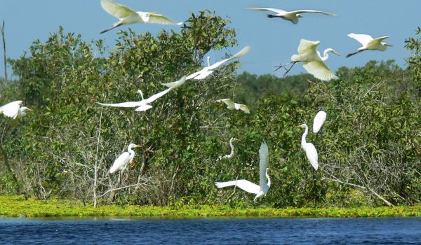 La Reserva de la Biosfera Marina y Costera de Kien Giang alberga paisajes y ecosistemas ricos, diversos y únicos