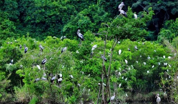 Parque Nacional Cuc Phuomng ​​​​