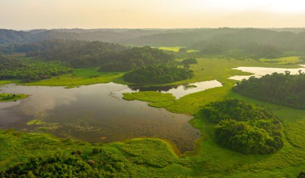 Parque Nacional Cát Tien